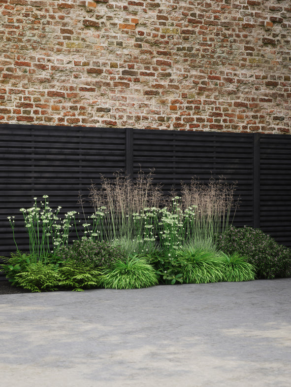 Border collections for shade.